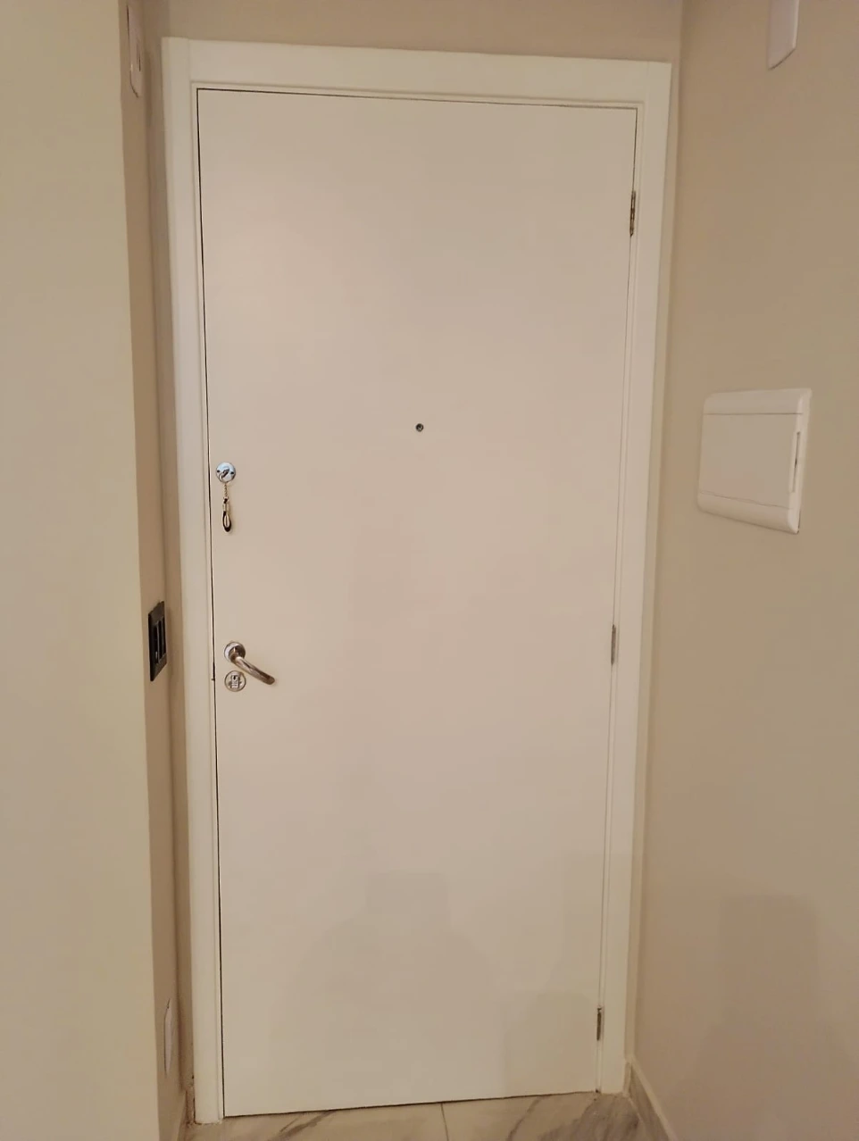 Pintor profissional Osasco, SP