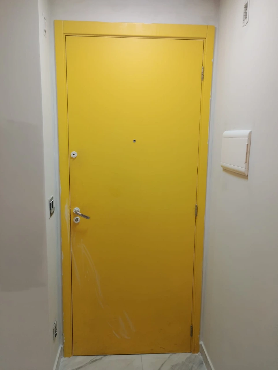 Pintor profissional Osasco, SP