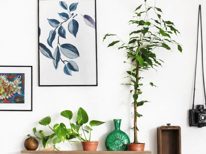 Pintor profissional Osasco, SP