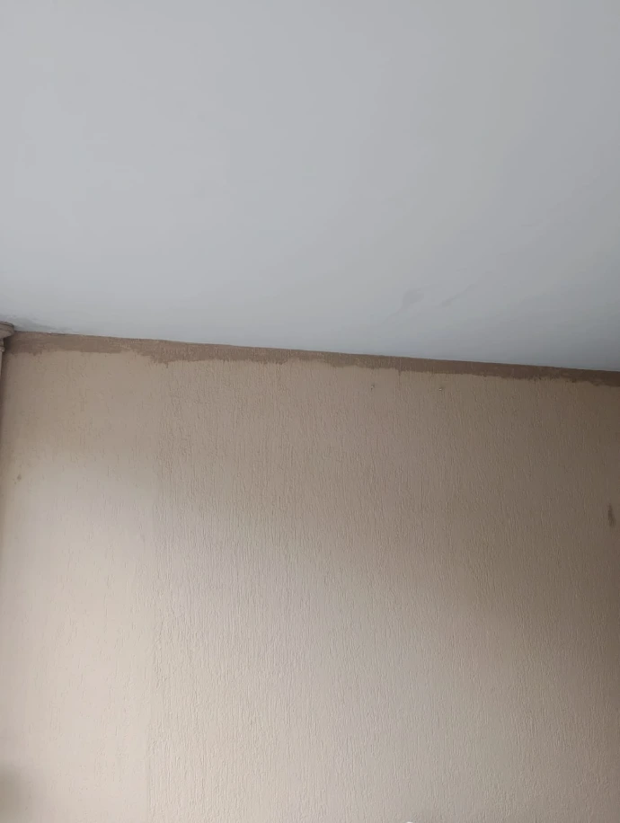 Pintor profissional Osasco, SP